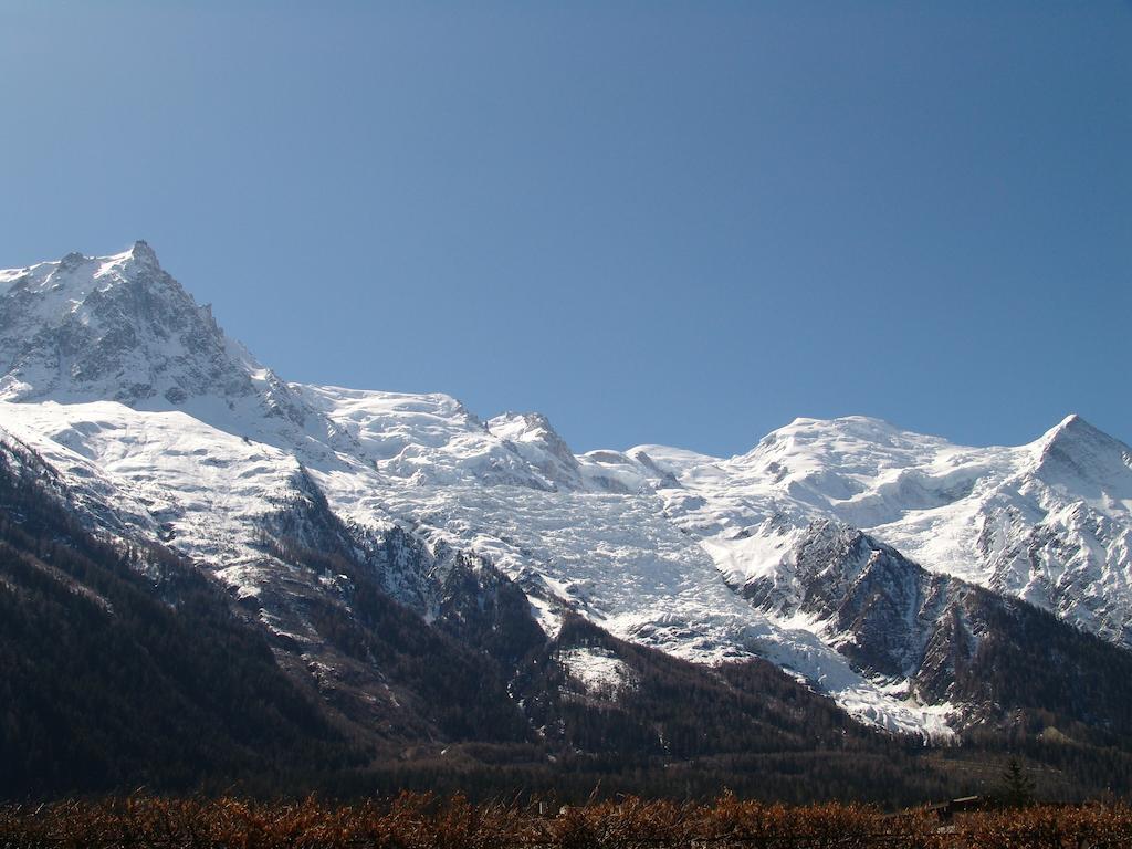 Les Glaciers - Appartement 1 霞慕尼 外观 照片